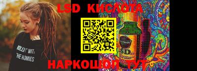 прущие грибы Абакан
