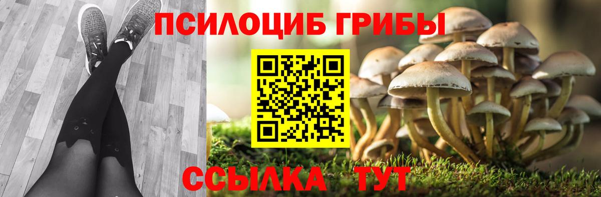 Апатиты  Галлюциногенные грибы мухоморы  Вход с VPN 