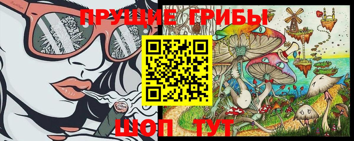 Галлюциногенные грибы MAGIC MUSHROOMS Апатиты