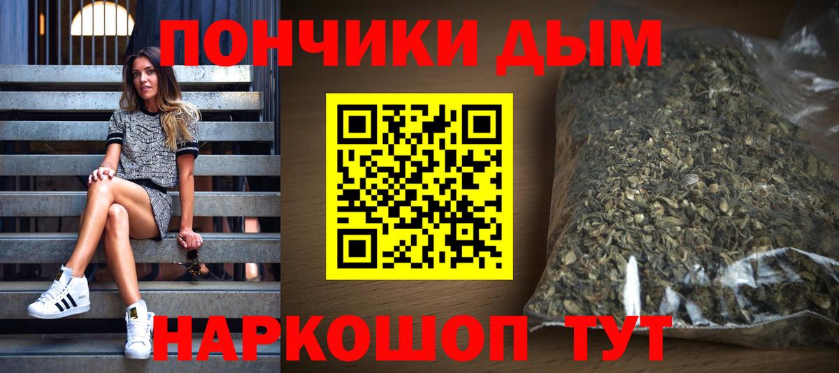 Бошки Шишки конопля  Апатиты  Шишки марихуана семена  Конопля SATIVA & INDICA 